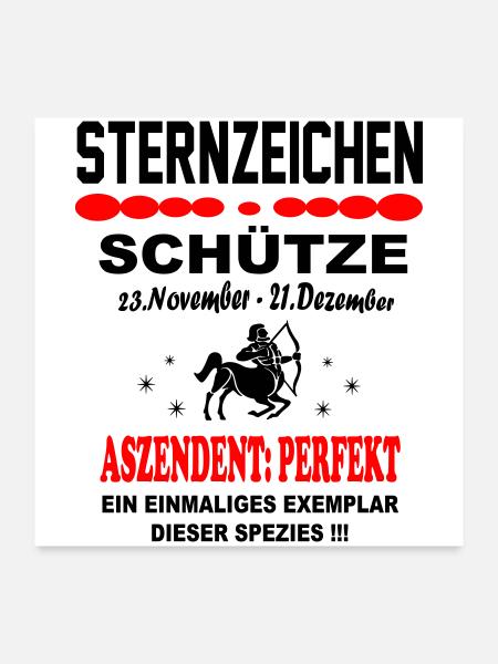 Schütze Sternzeichen Horoskop Aszendent Perfekt - Poster 60x60 cm - Weiß - Vorne