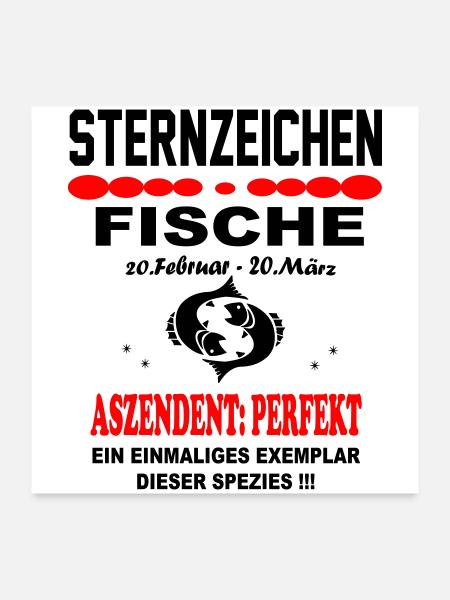 Fische Sternzeichen Horoskop Aszendent Perfekt - Poster 60x60 cm - Weiß - Vorne
