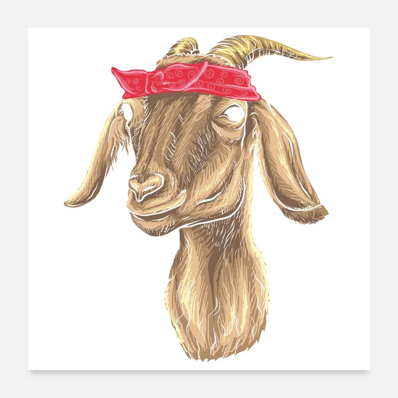 Chèvre avec Bandana Poster 60 x 60 cm