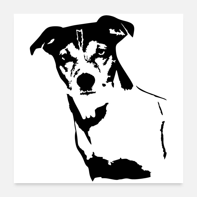 Jack Russell Terrier Kopf Poster 60x60 cm