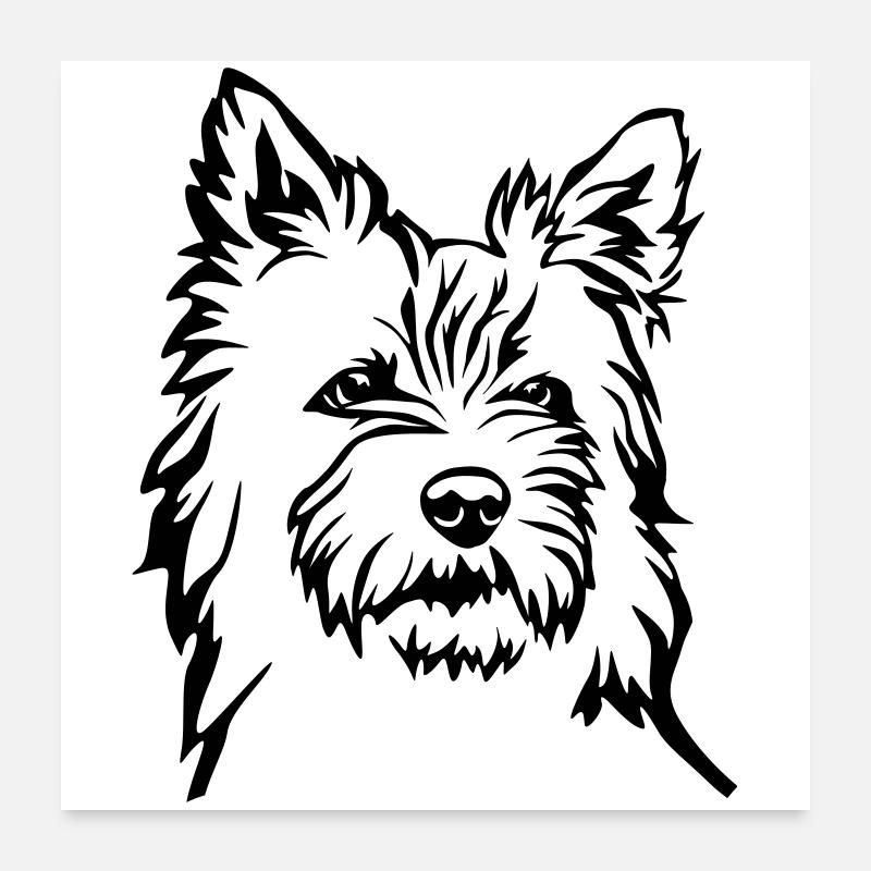 Cairn Terrier Poster 60 x 60 cm