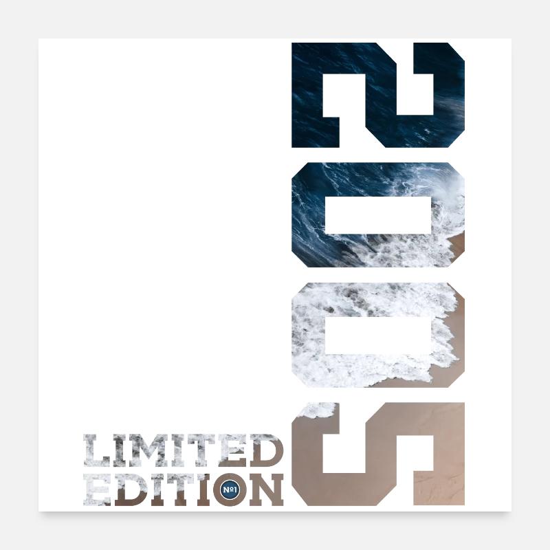 21ST BIRTHDAY LIMITED EDITION 2005 Poster 24" x 24" (60x60 cm)