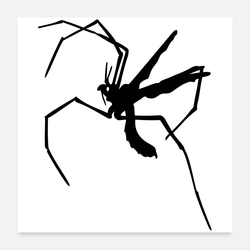 Moustique à longues pattes Poster 60 x 60 cm