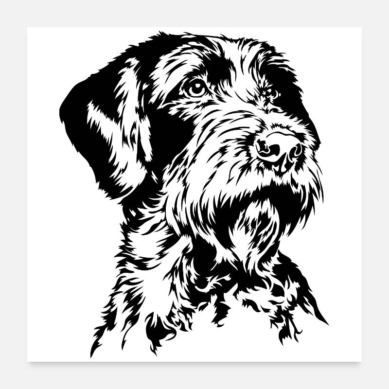 Korthals Griffon Portrait Hunde Jagdhunde Wilsigns Poster 60x60 cm