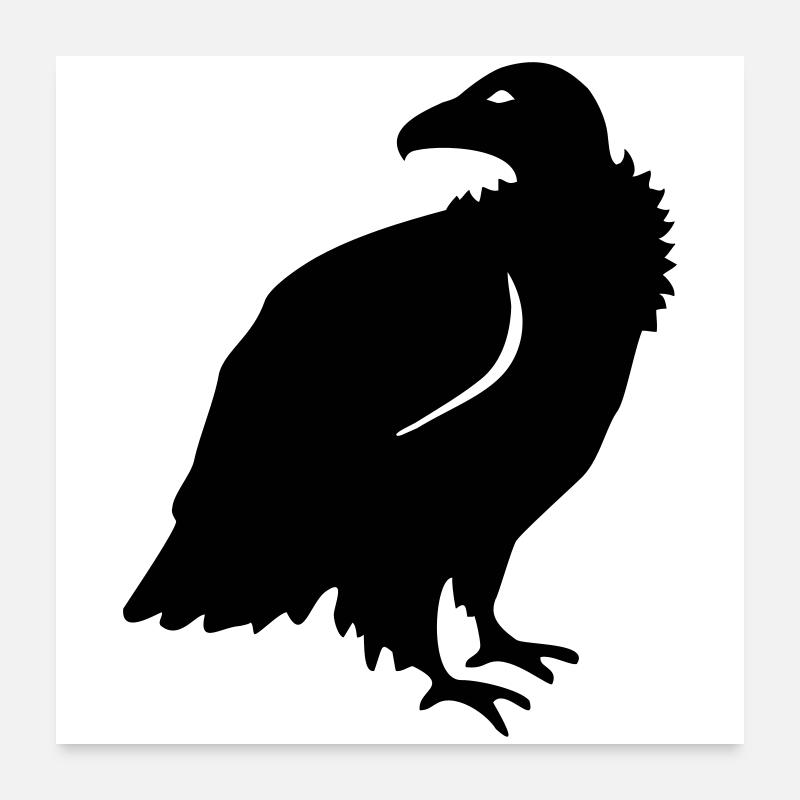 Vulture Poster 24" x 24" (60x60 cm)