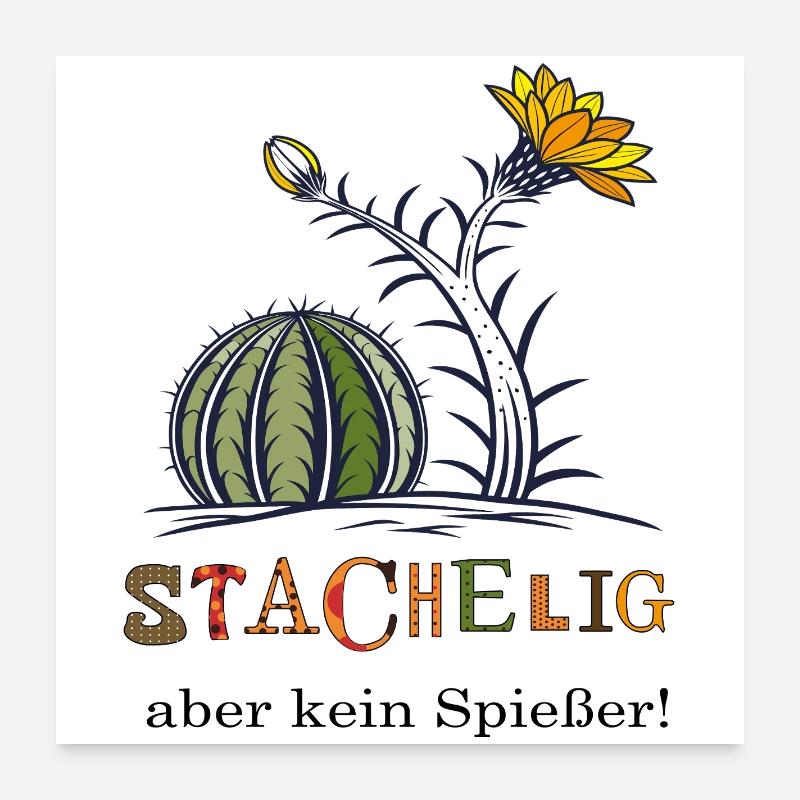 Kaktus mit  Blüte Poster 60x60 cm