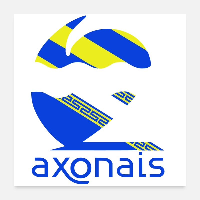Axonais Poster 60 x 60 cm
