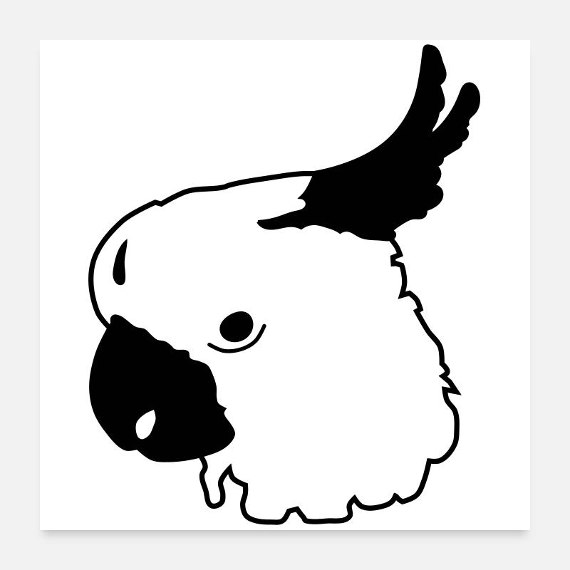 Papagei Poster 60x60 cm