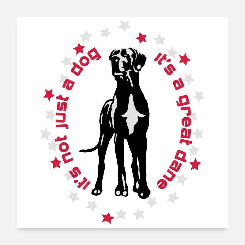 c'est un grand danois qui précède Great Dane Poster 60 x 60 cm
