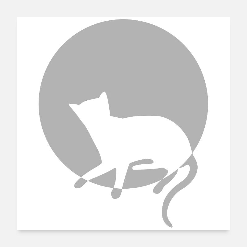 Katze Katze Katze Katze Katze Katze Mieze - Poster 60x60 cm - Weiß
