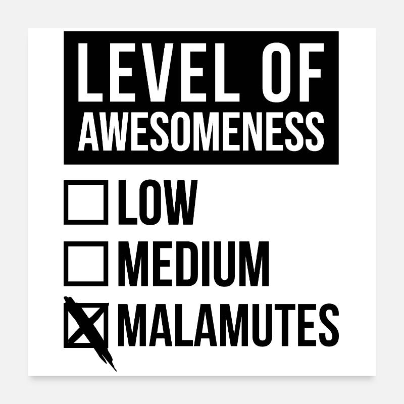 Malamute Poster 60x60 cm