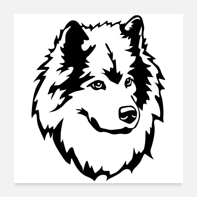 Eurasier Kopf Poster 60x60 cm