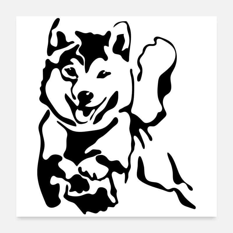 Shiba Inu Poster 60 x 60 cm
