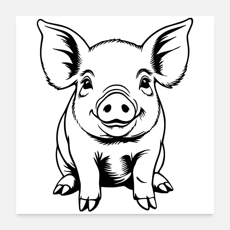 Pig Sow Piglet Piglet Sketch Drawing Poster 24" x 24" (60x60 cm)