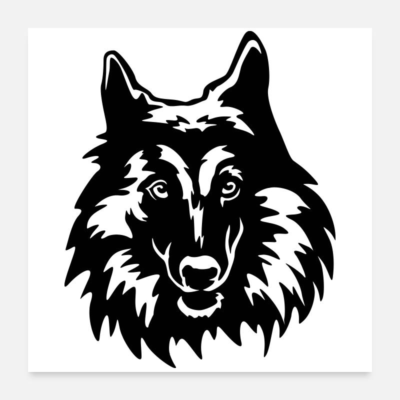 Tervueren Kopf Poster 60x60 cm