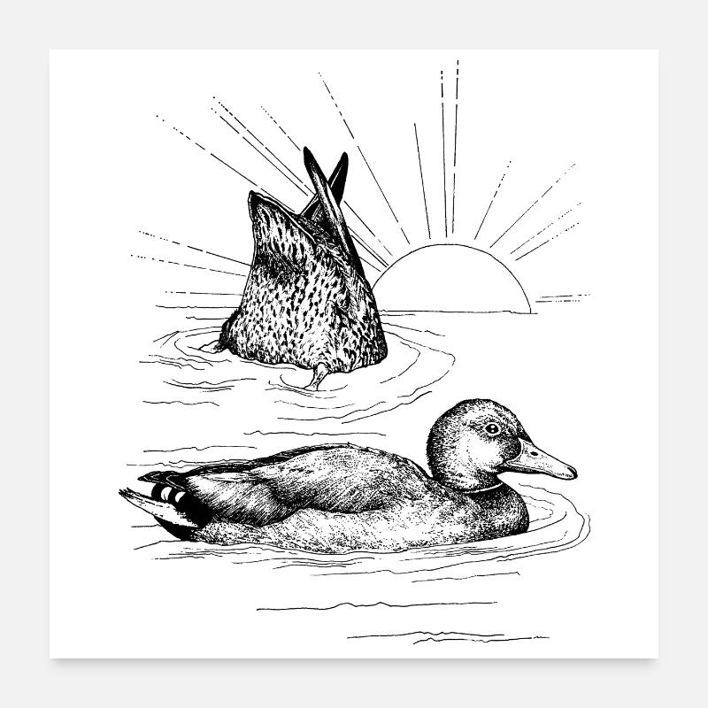 STOCKENTEN Poster 60x60 cm
