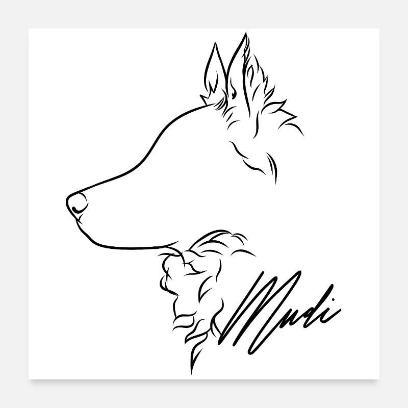 Mudi Profile Chien Chien Wilsigns Poster 60 x 60 cm