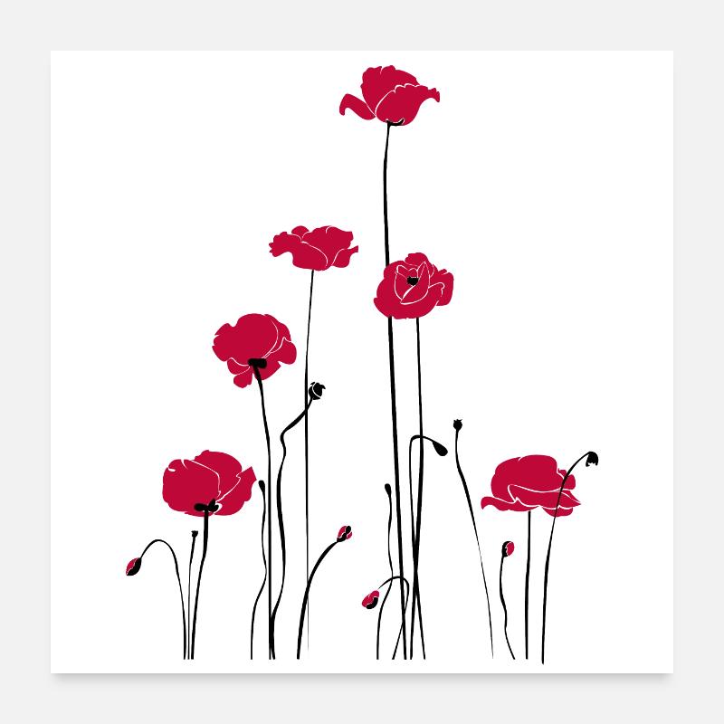Abstrakte Florale Linienkunst. Mohn Poster 60x60 cm