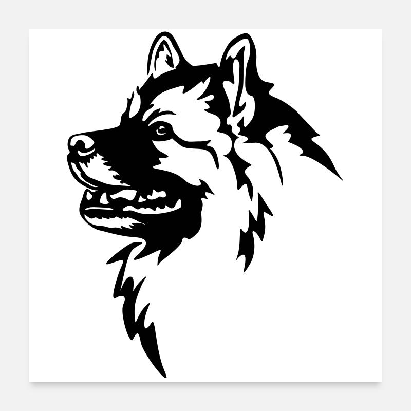 Tête de Wolfsspitz Poster 60 x 60 cm