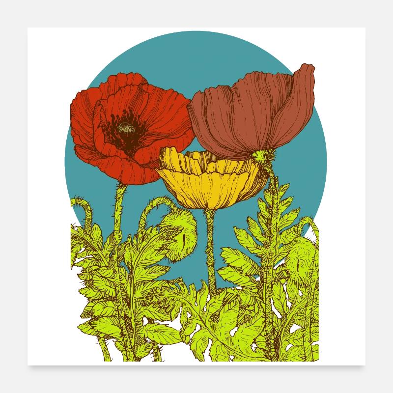 Coquelicots Poster 60 x 60 cm