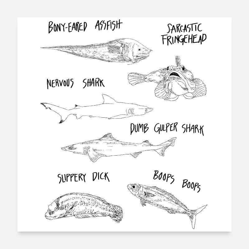 DRÔLE de POISSON Poster 60 x 60 cm