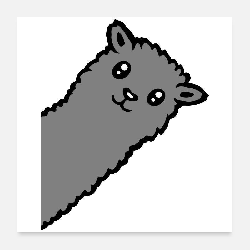 Gray Alpaca Llama Head Curious Funny Look Poster 24" x 24" (60x60 cm)