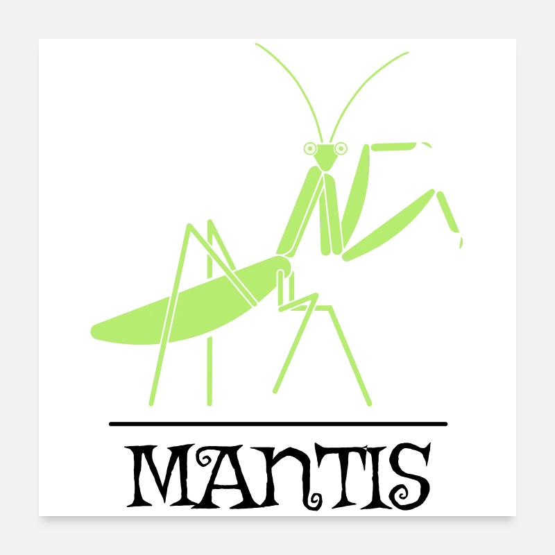 Mantis Gottesanbeterin Insekt Natur Illustration - Poster 60x60 cm - Weiß