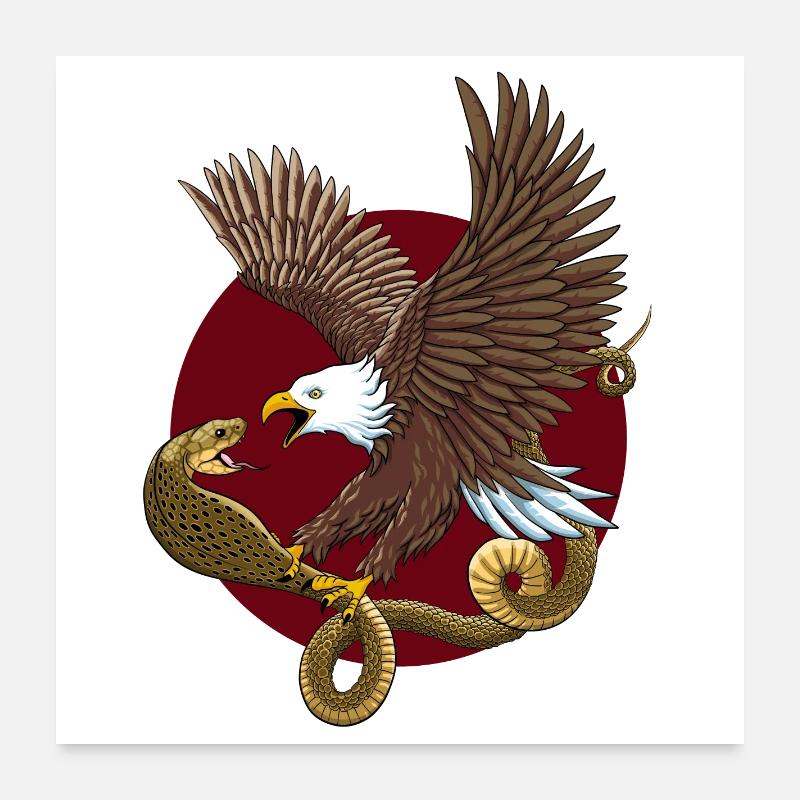 Aigle et serpent Poster 60 x 60 cm