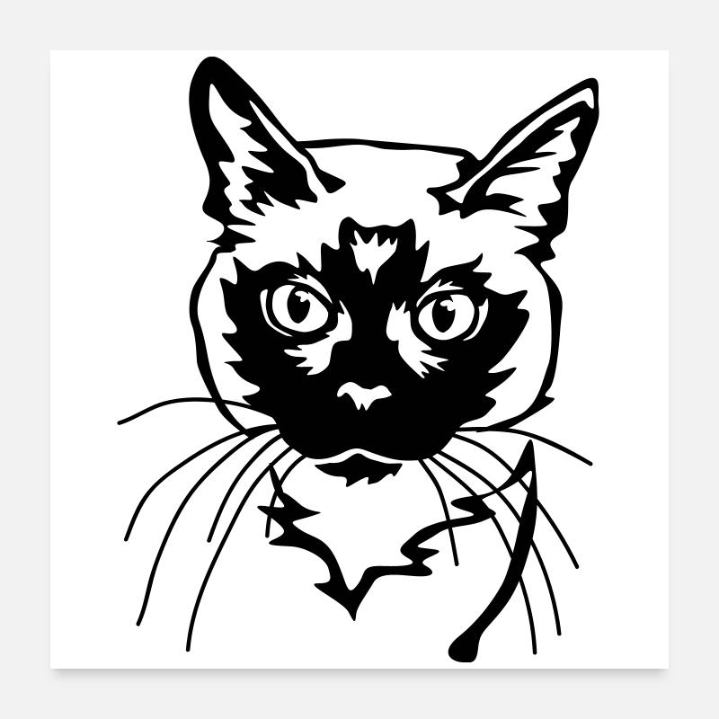 Chat siamois Poster 60 x 60 cm