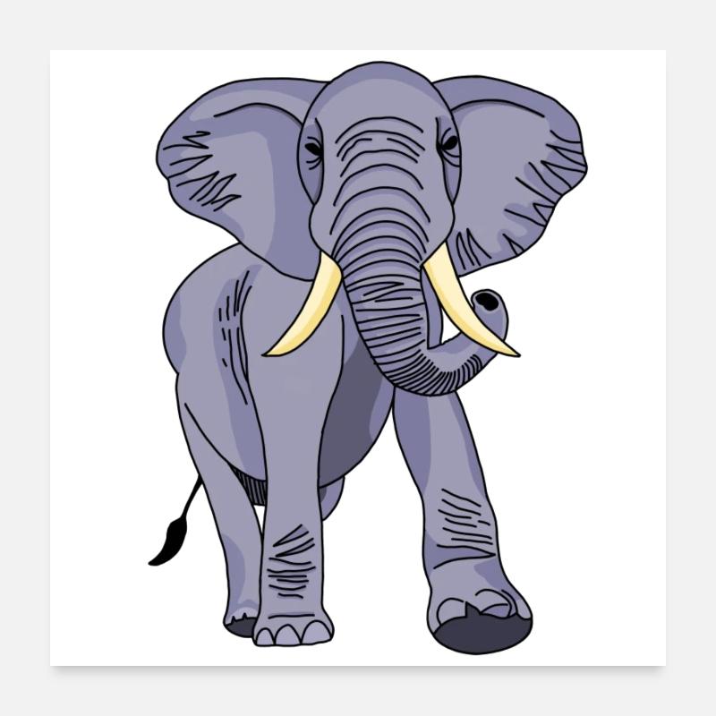Éléphant Poster 60 x 60 cm