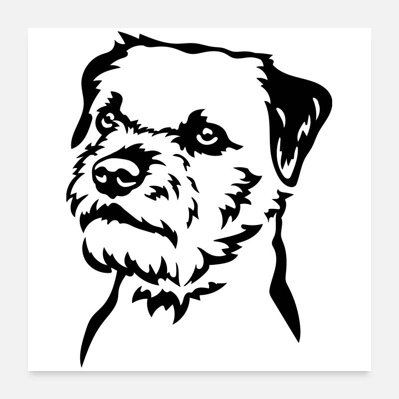 Tête de Border Terrier Poster 60 x 60 cm