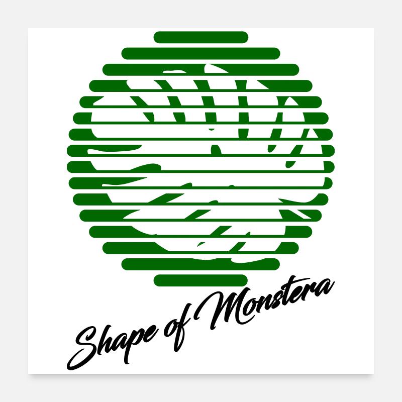 Monstera - Poster 60x60 cm - Weiß