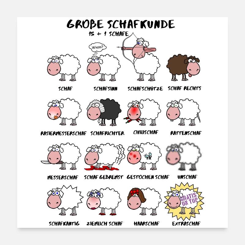 Great sheep knowledge Poster 24" x 24" (60x60 cm)