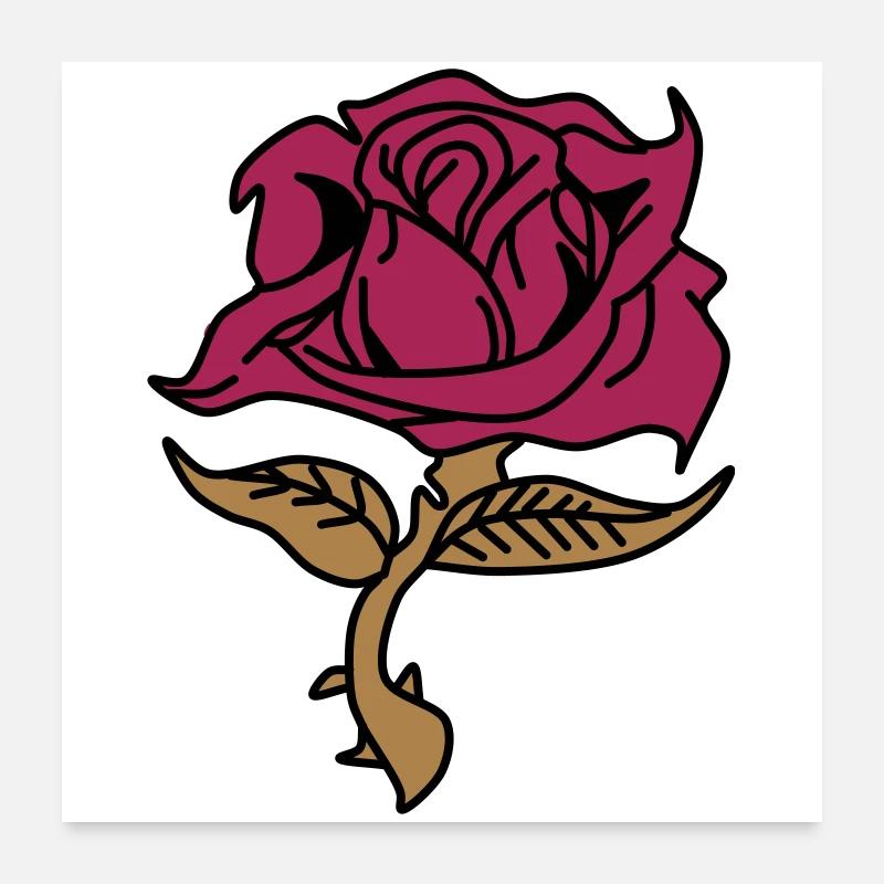 Rose (Blume) - Poster 60x60 cm - Weiß