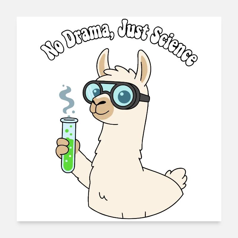 Lama Researcher : Pas de drames, science Poster 60 x 60 cm