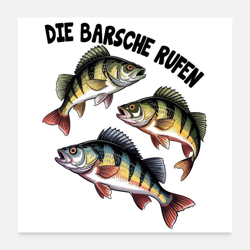 Barsch Angeln Poster 60x60 cm