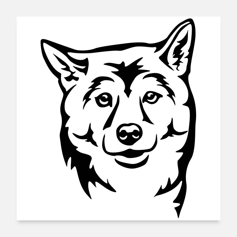 Tête de Shiba Poster 60 x 60 cm