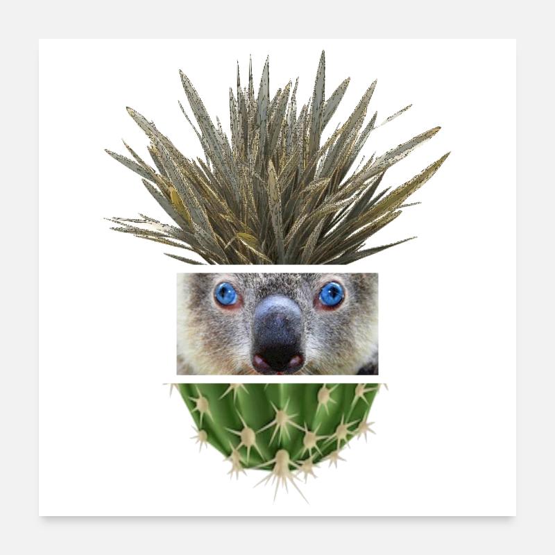 Koala Azur Cactus Collage Poster 60 x 60 cm