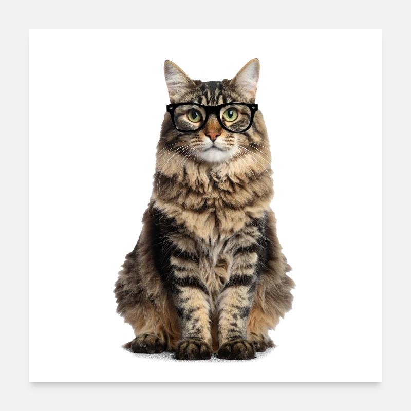 Getigerte Katze mit Brille – Good Pet Edition Poster 60x60 cm