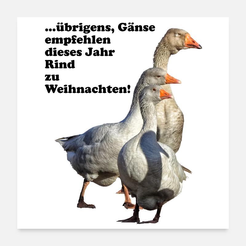 Oie de Noël Recommandation Boeuf Poster 60 x 60 cm