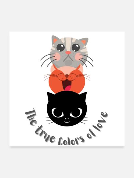 Wahre Farben der Liebe - Poster 60x60 cm - Weiß - Vorne