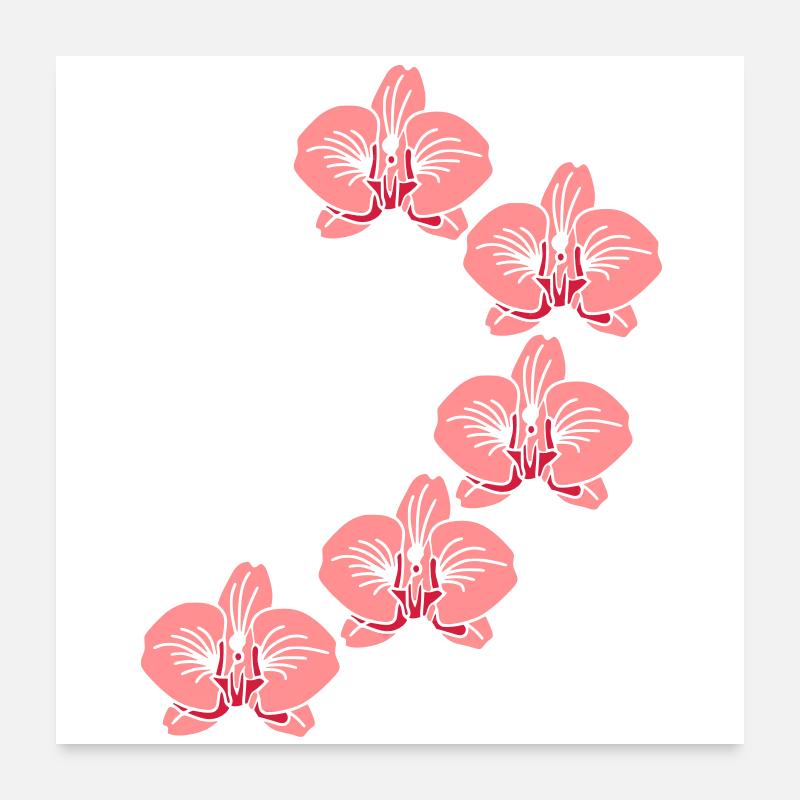 orchidee_2 Poster 60 x 60 cm