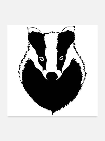 Blaireau - Poster 60 x 60 cm - blanc - Devant