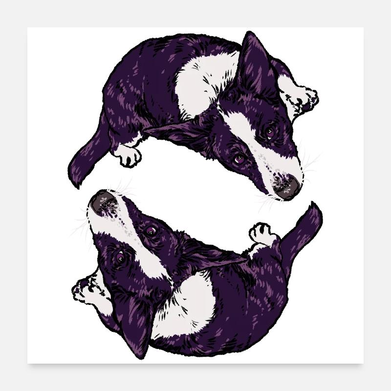 Corgis Poster 60 x 60 cm