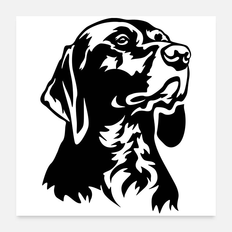 German Shorthair head Poster 24" x 24" (60x60 cm)