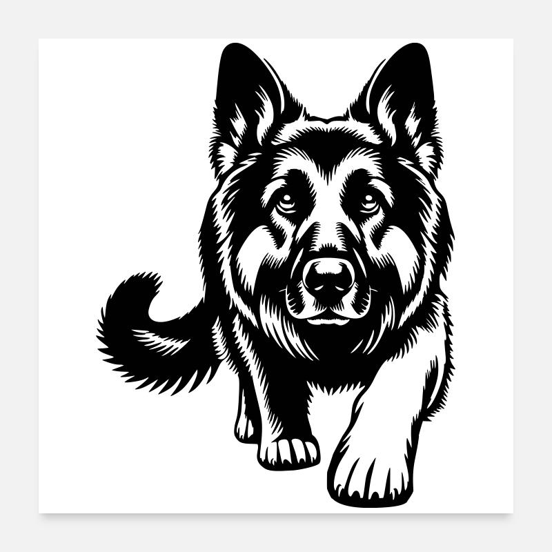 Deutscher schäferhund Poster 60x60 cm