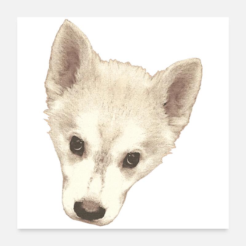 süßes Hündchen, Hundebaby Gesicht wasserpixel Poster 60x60 cm
