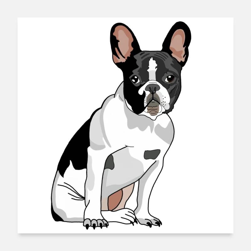 Chien Bouledogue Français Poster 60 x 60 cm