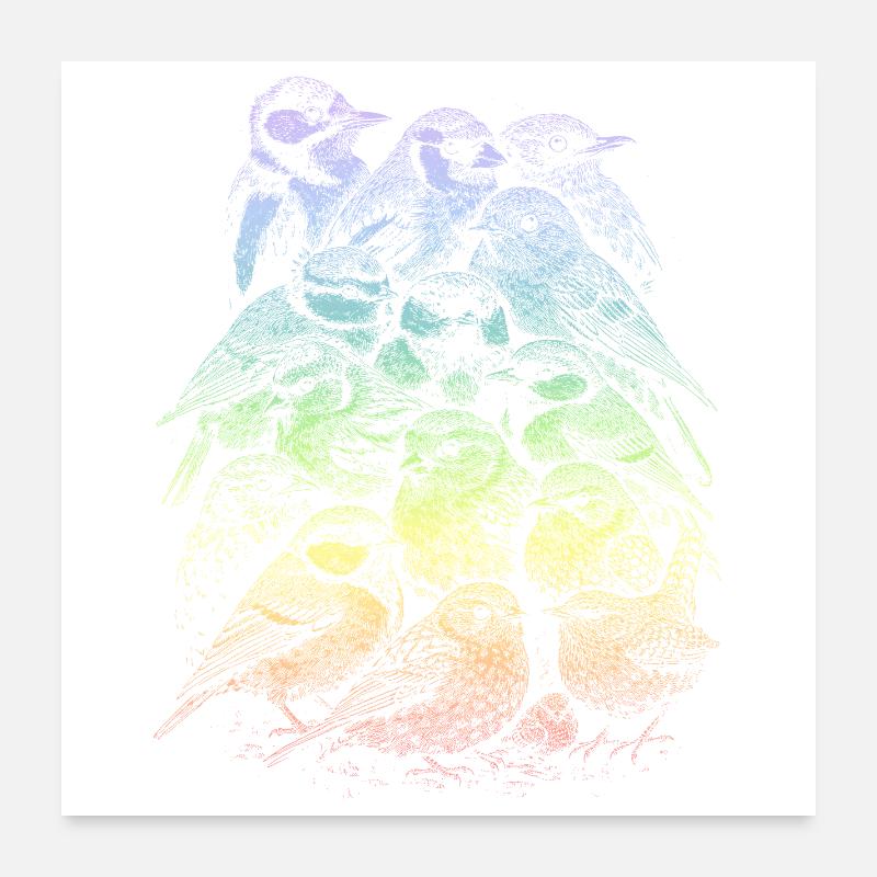 Gartenvogel Poster 60x60 cm