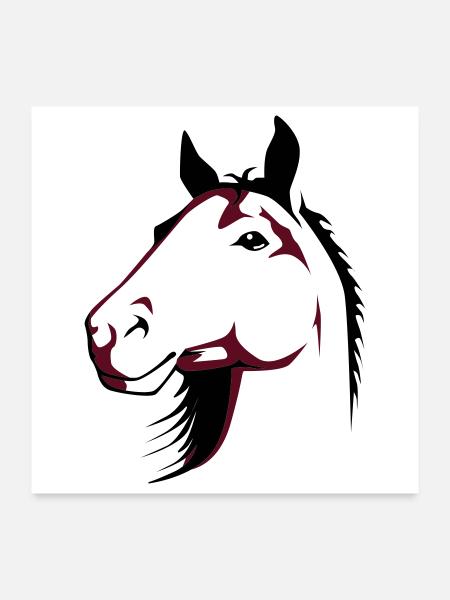 Pferd - Poster 60x60 cm - Weiß - Vorne